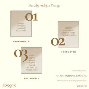 Aariz by Arabiyat Prestige