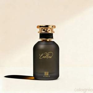 Endless by Ahmed al Maghribi