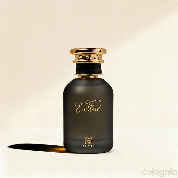 Endless by Ahmed al Maghribi