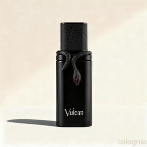 Vulcan Black by French Avenue
