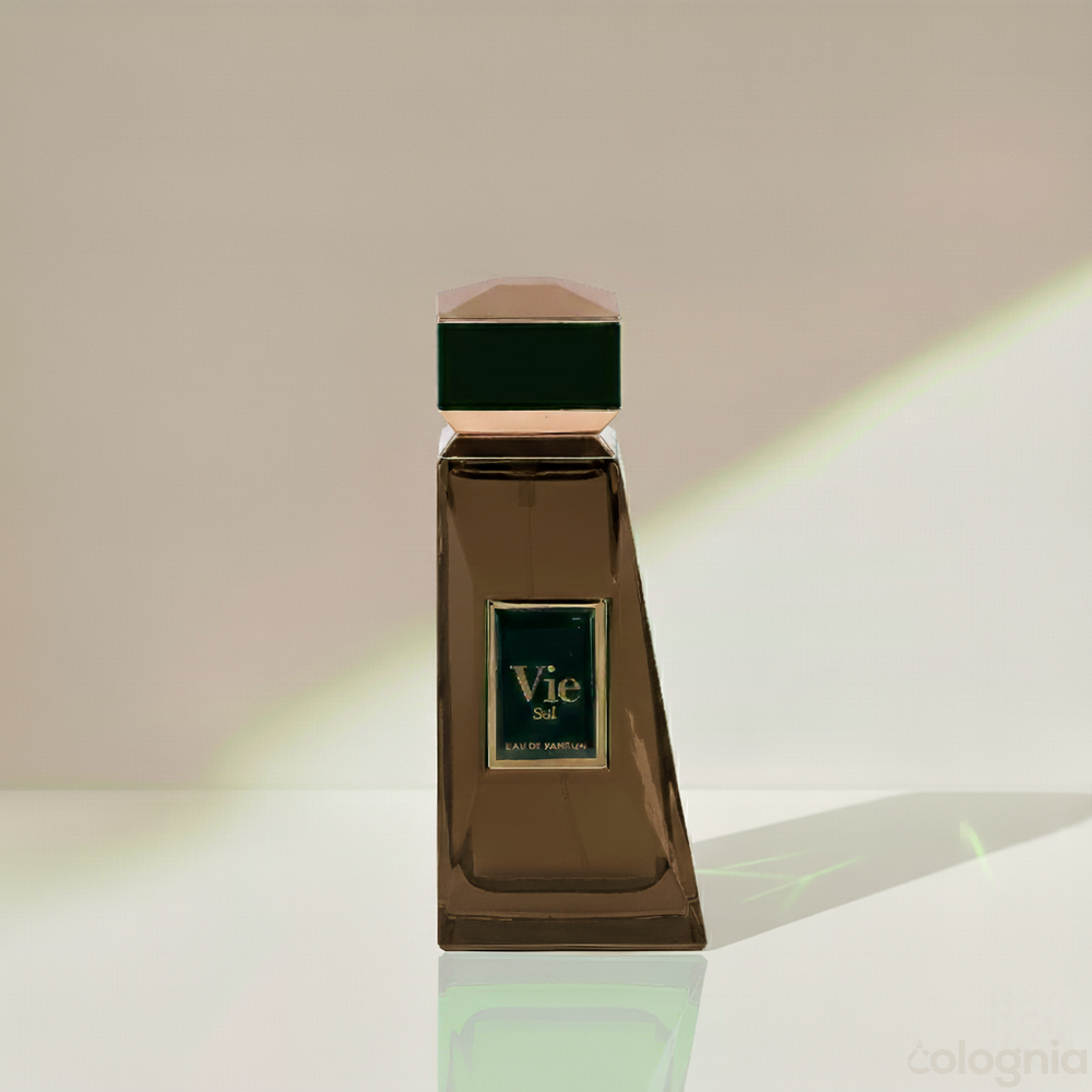 Vie Brise by Fragrance World