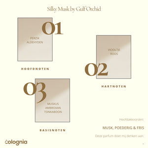 Silky Musk by Gulf Orchid