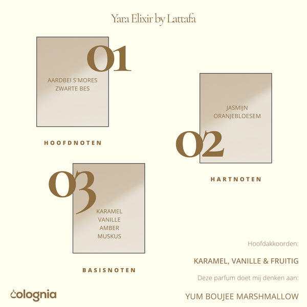 Yara Elixir by Lattafa