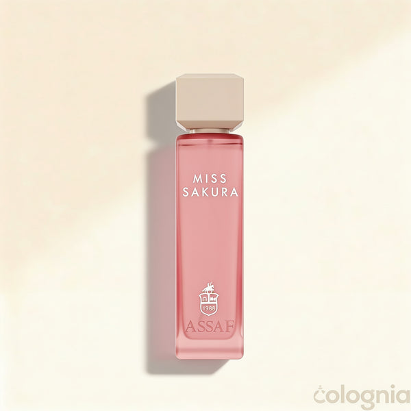 Miss Sakura by Assaf